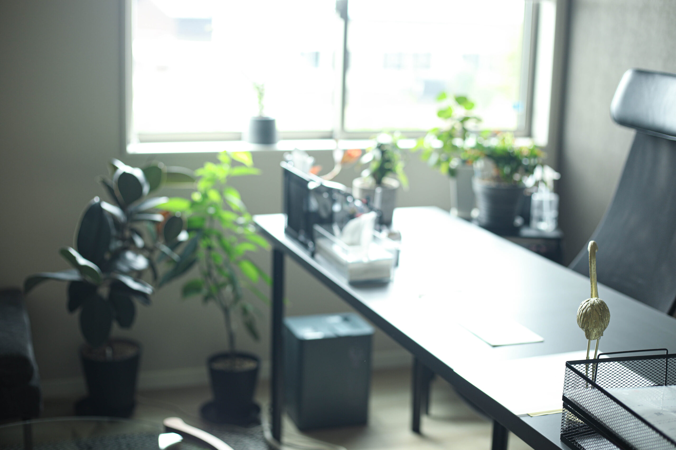 会社情報 2